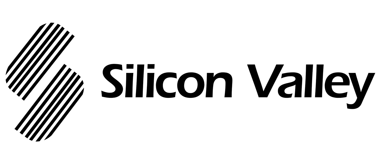 Silicon Valley